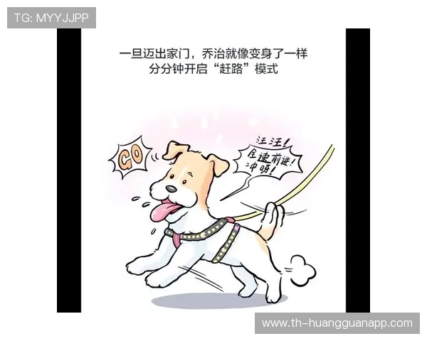 乔治家的狗都比某些首发挣得多
