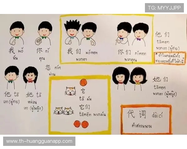 初学者指南：轻松理解篮球着地空间规则